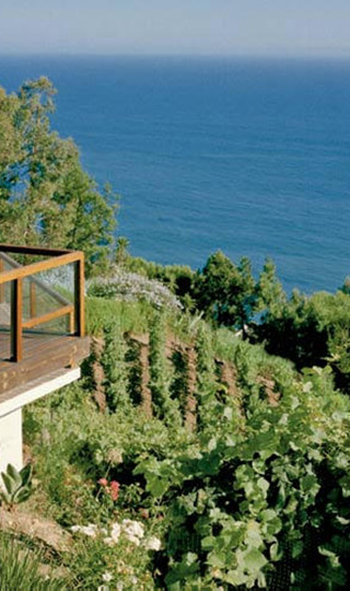 Malibu Coast Vineyard